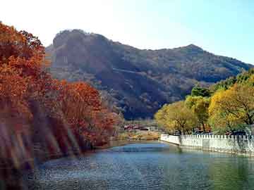 新澳门免费精准大全，花生油榨油机多少钱